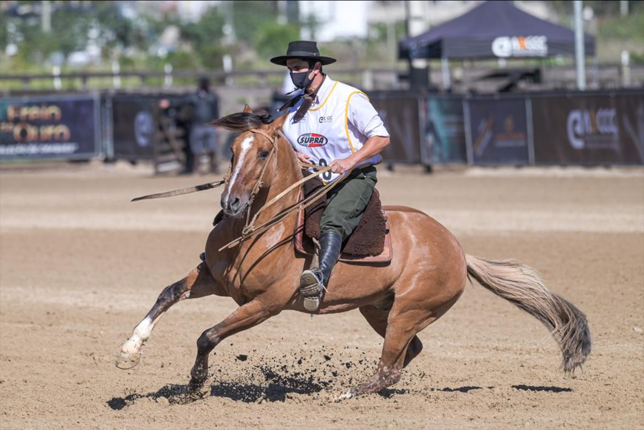 Lance Rural transmite o Cavalo Crioulo na EXPOINTER ao vivo e