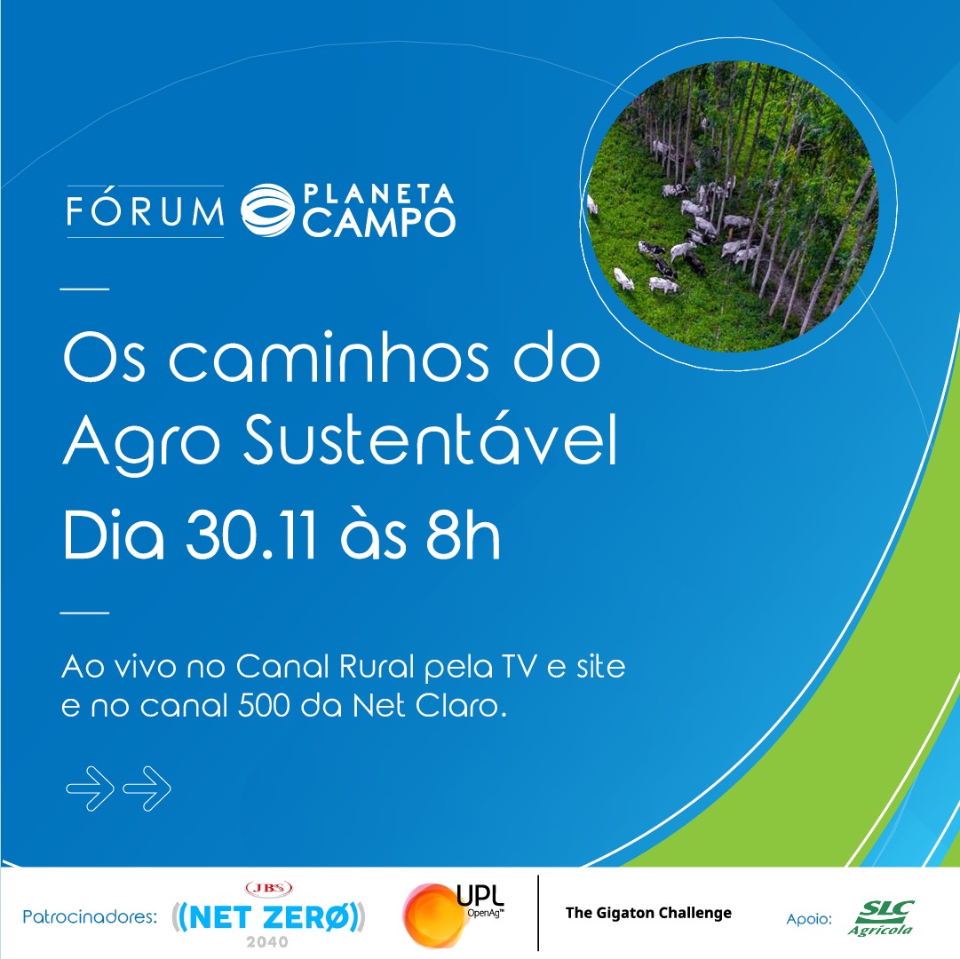 Ao Vivo  Canal Rural