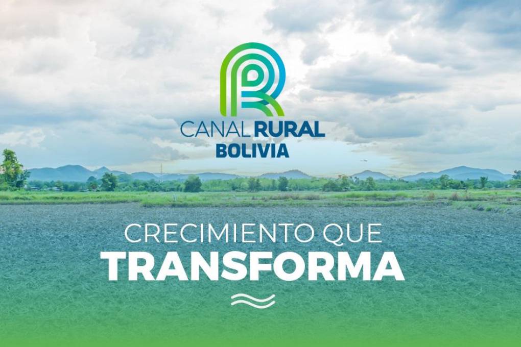 Acompanhe os eventos da pecuária com o novo aplicativo do Canal Rural