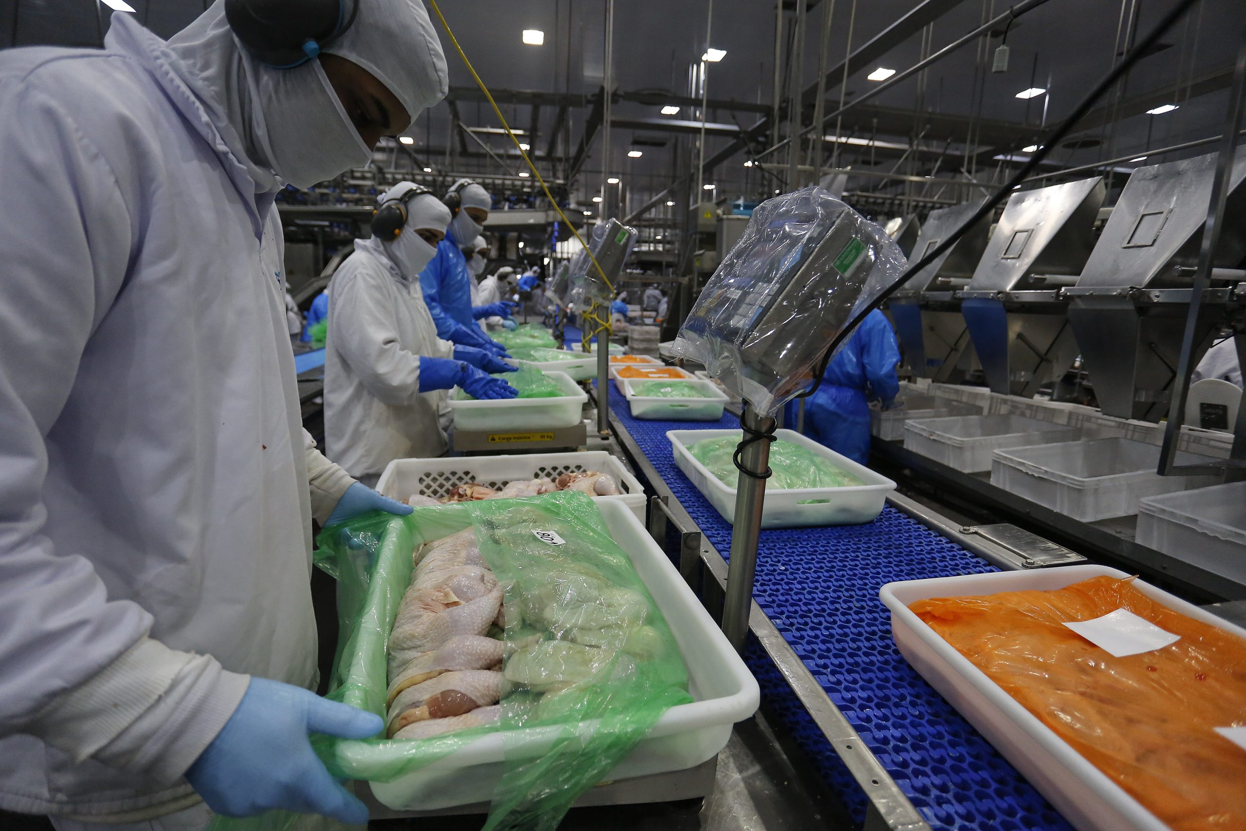 Seara investe R$ 1 bilhão em nova linha de frango empanado - Canal