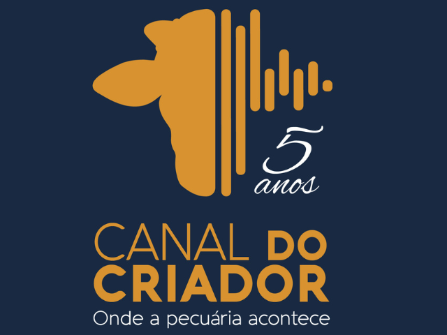 Canal do Criador: Rebranding em ano comemorativo de 5 anos