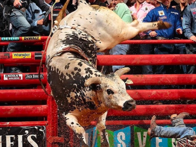 Despedida de Air Time: A lenda do rodeio mundial