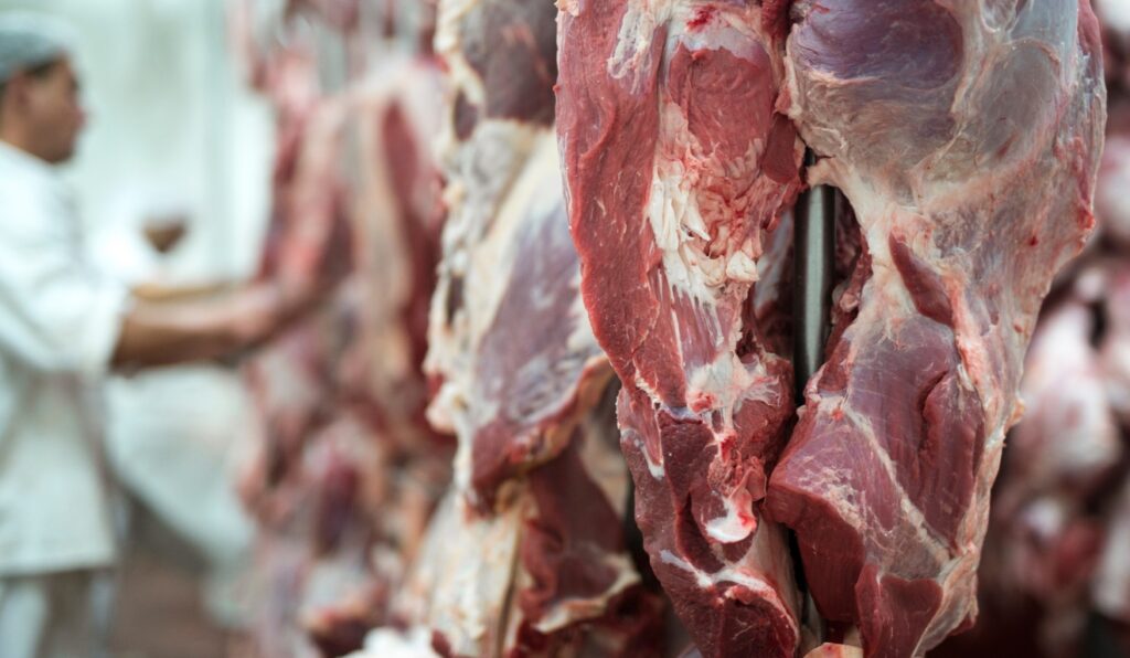 Abertura de mercado da carne bovina brasileira em El Salvador