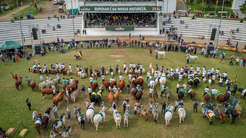 Expointer 2025 movimenta criadores e genética de ponta em Esteio