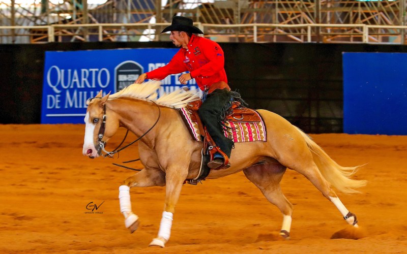 Competidor montado em cavalo durante prova no 44° Campeonato Nacional do Quarto de Milha, demonstrando habilidade e conexão com o animal