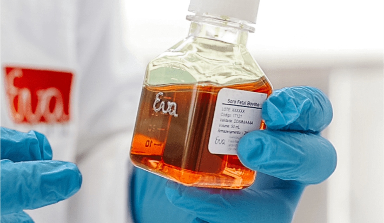 Brasil abre mercado de soro fetal bovino na União Euroasiática