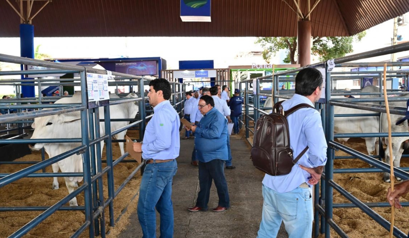 Expogenética 2025 público internacional cresce 90% em Uberaba
