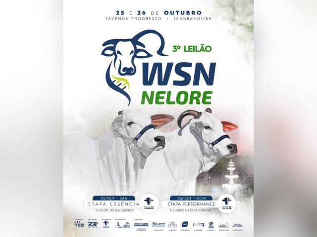 3º Leilão WSN Nelore – Etapa Performance