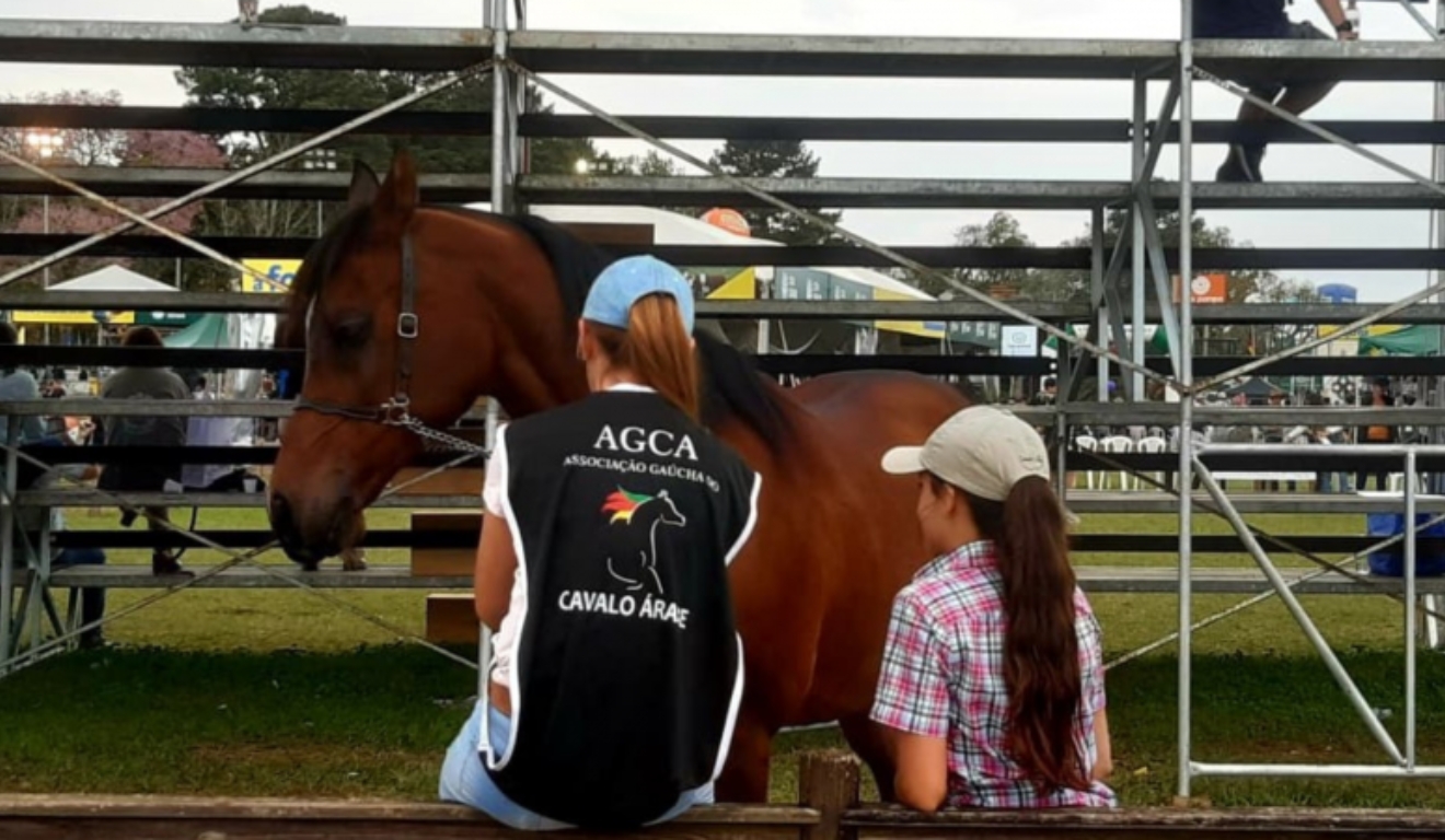 A Expointer 2025 confirma o espaço cada vez maior das mulheres no cenário equestre