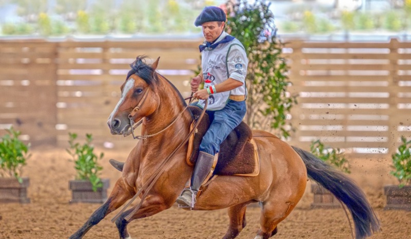 Campeã do Freio de Ouro Índia Envenenada Del Chamame