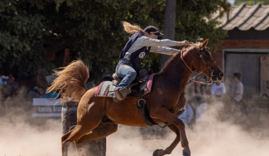 Cavalo árabe na Expointer mulheres dominam as pistas