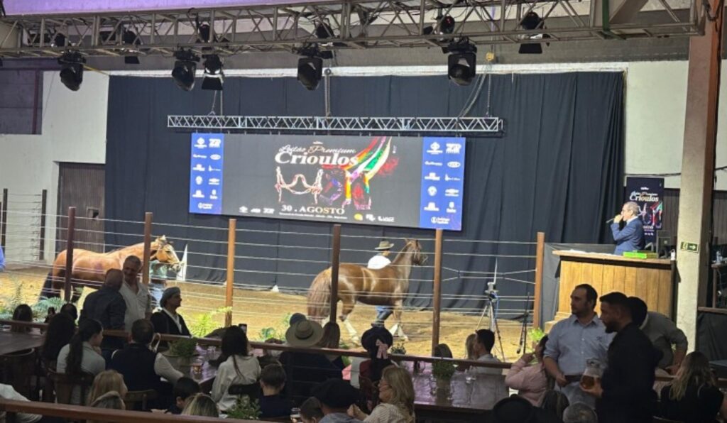 Negócios com Cavalo Crioulo somam mais de R$ 14 milhões na Expointer