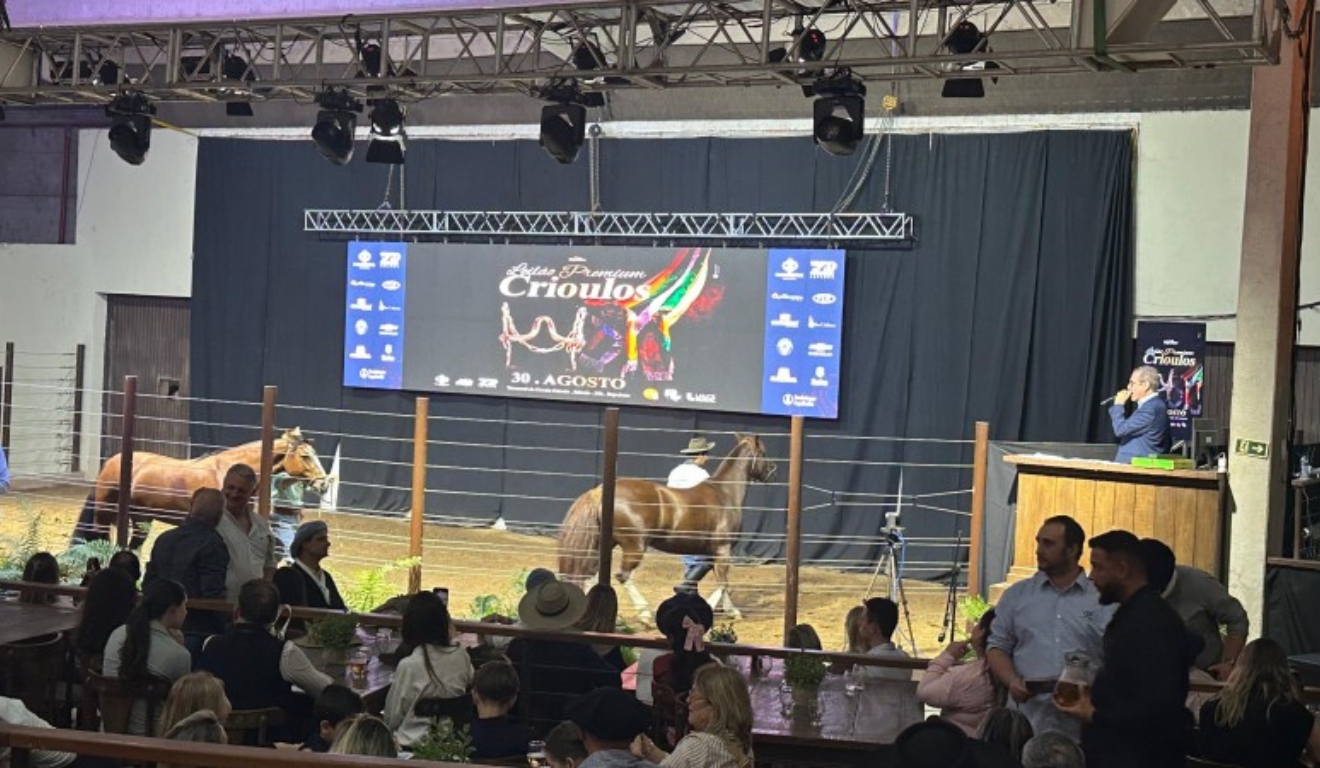 Negócios com Cavalo Crioulo somam mais de R$ 14 milhões na Expointer