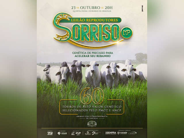 Leilão Reprodutores Sorriso