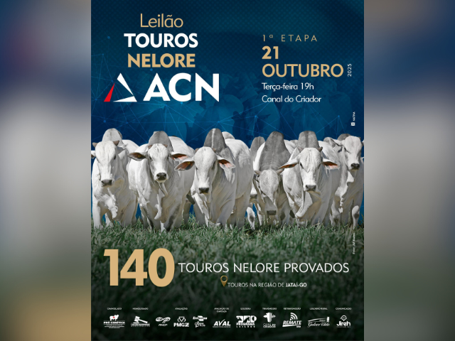 Leilão Touros Nelore ACN – 1ª Etapa