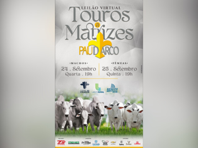 Leilão Virtual Touros e Matrizes Pau D&#8217;Arco