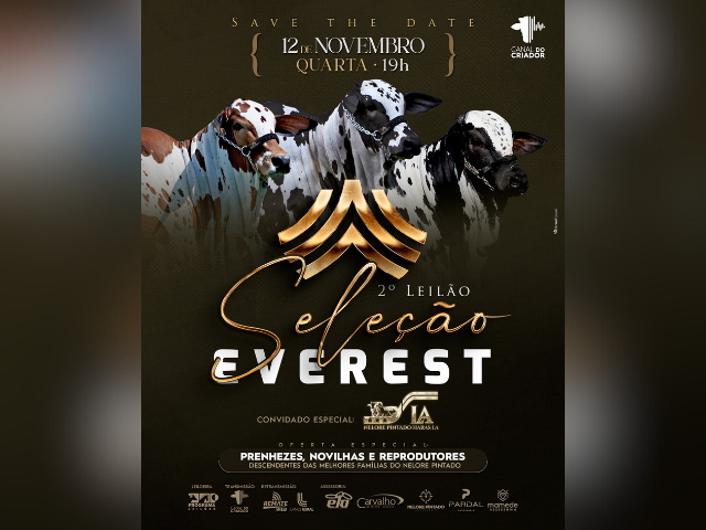 2º Leilão Seleção Everest