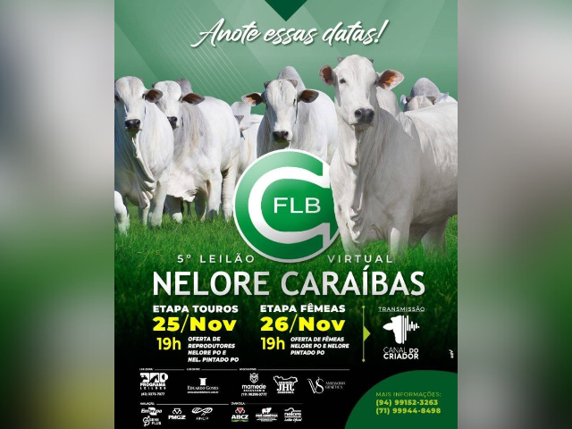 5º Leilão Virtual Nelore Caraíbas – Etapa Touros