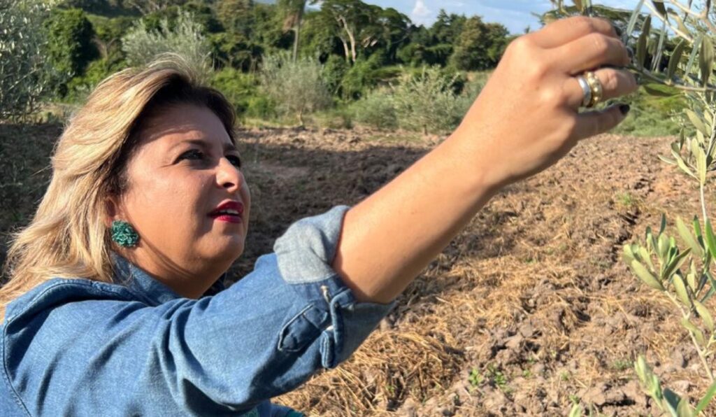 Dia das Mulheres Rurais Liderança feminina no campo rompe fronteiras para o agro