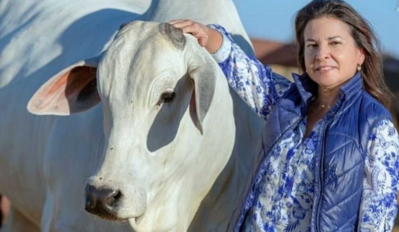 Genética e rastreabilidade definem o futuro da proteína animal no CNMA 2025