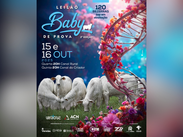 Leilão Baby de Prova – 2ª Edição