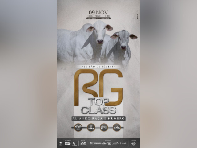 Leilão de Fêmeas RG Top Class