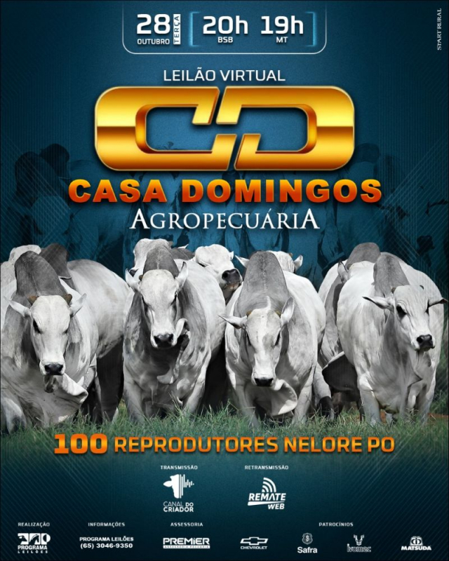 Leilão Virtual Casa Domingos Agropecuária