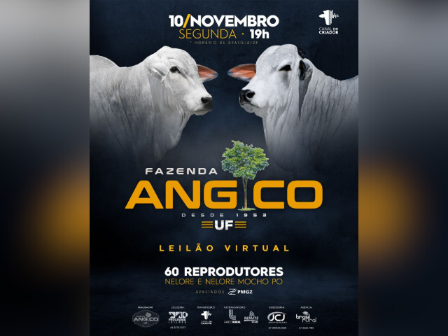 Leilão Virtual Fazenda Angico