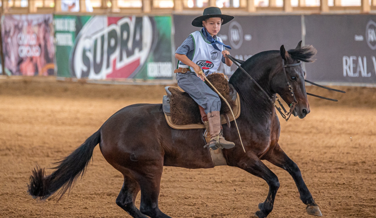 Freio Jovem 2025 registra recorde e reforça tradição do Cavalo Crioulo