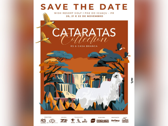 Leilão Cataratas Collection
