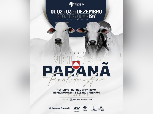 Leilão Nelore Paranã – Final de Ano