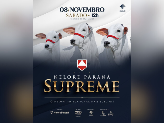 Leilão Nelore Paranã Supreme