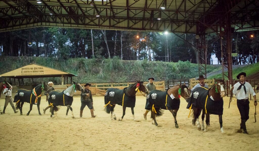 Cavalo Crioulo Caxias do Sul fecha Passaporte de Primavera 2026