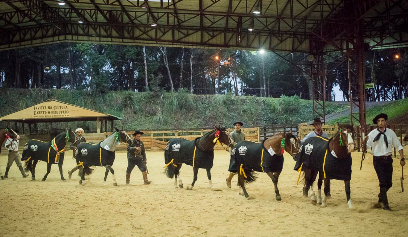 Cavalo Crioulo Caxias do Sul fecha Passaporte de Primavera 2026