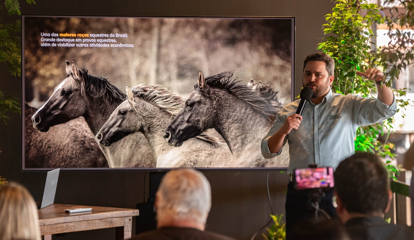 Cavalo Crioulo impulsiona renda no campo e movimenta R$ 5,36 bilhões no Brasil