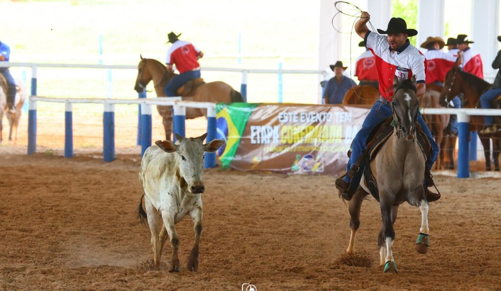 Copa do Laço Comprido e do Circuito Paulista de Crioulaço consagram campeões e destacam o Cavalo Crioulo