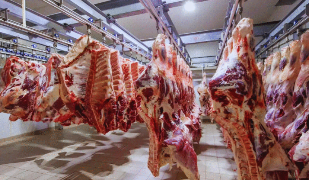 Exportações de carnes de MT crescem 43,12% em 2025 e reforçam rentabilidade da pecuária estadual
