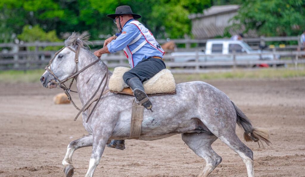 Funcionais de Natal reúne provas do Cavalo Crioulo e turismo na Serra Gaúcha