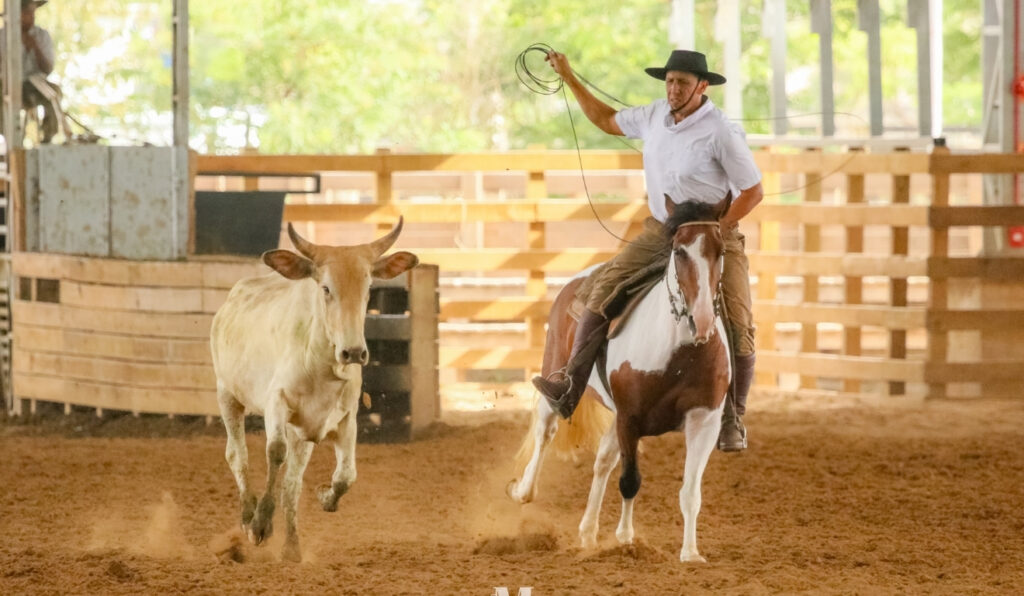 Crioulaço movimenta pecuaristas e oferece maior premiação já registrada na Costa Doce