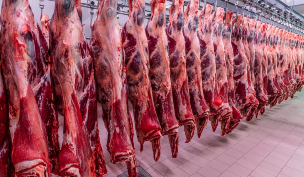 Exportação de carne bovina avança com novos frigoríficos do Brasil no Vietnã