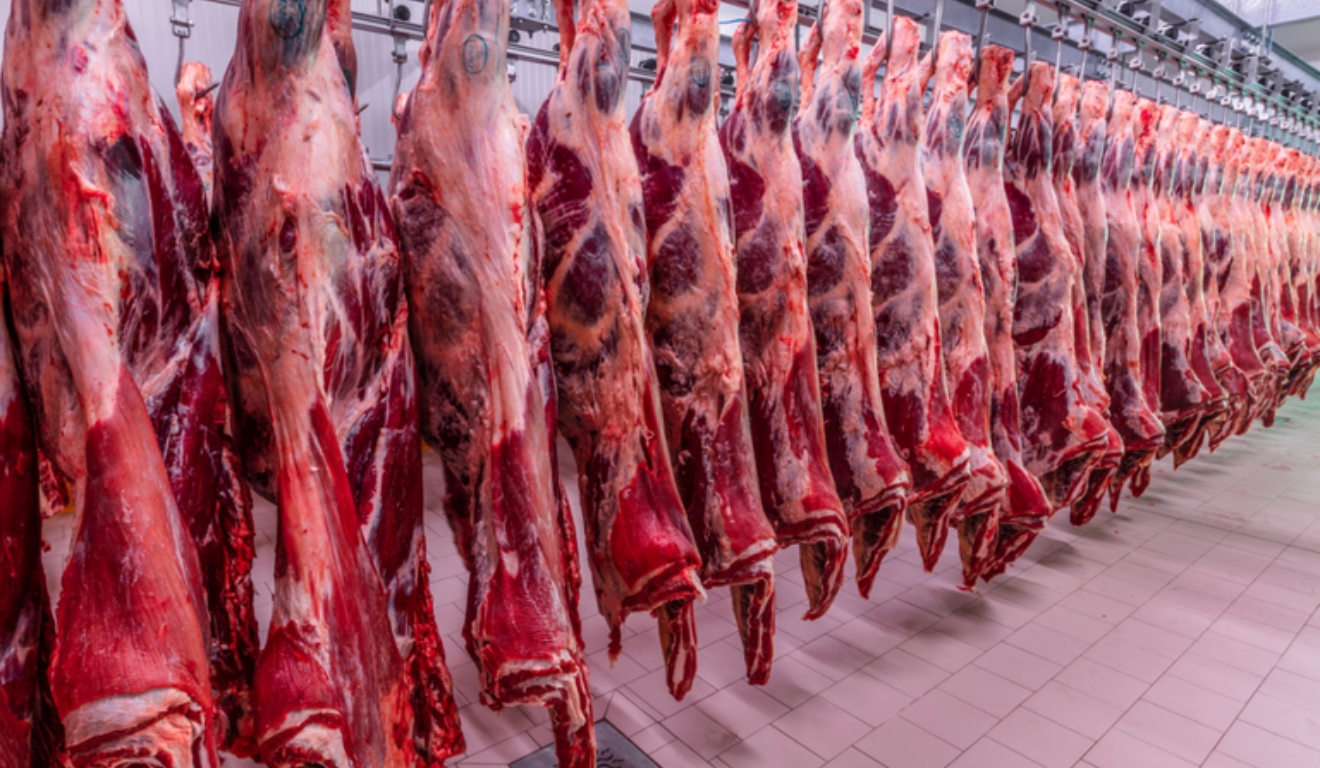 Exportação de carne bovina avança com novos frigoríficos do Brasil no Vietnã