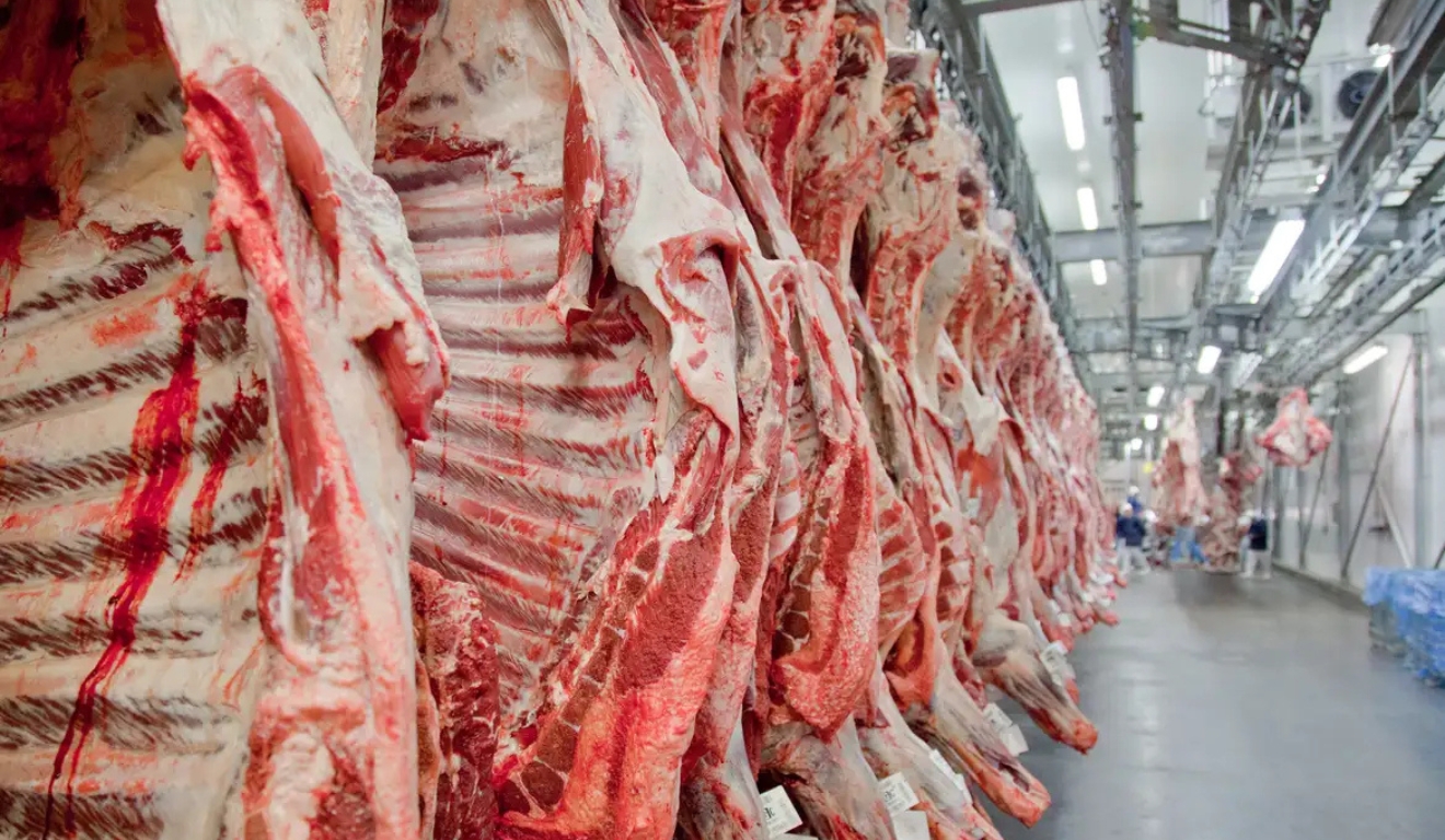 Importação de carne bovina cotas da China reconfiguram a pecuária brasileira