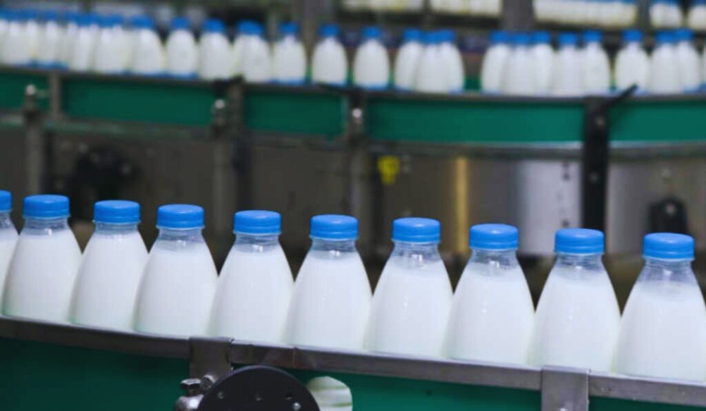 Mercado do leite: queda nas importações melhora balança de lácteos e reduz pressão ao produtor em 2025