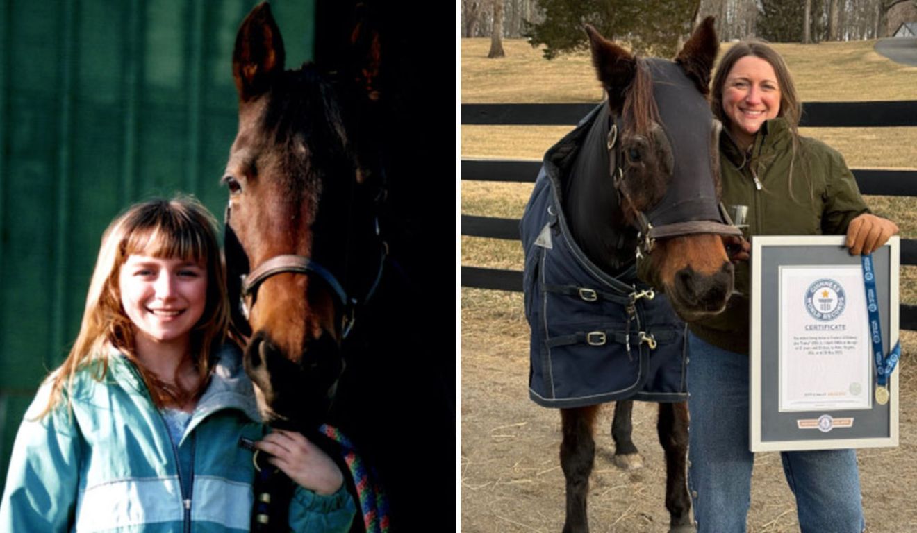 Égua viva mais velha do mundo é reconhecida pelo Guinness aos 37 anos