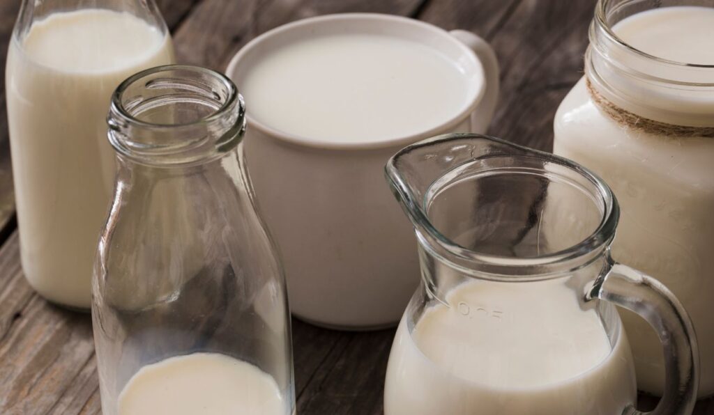 Projeto cria Instituto Nacional do Leite e prevê preço mínimo para proteger o produtor