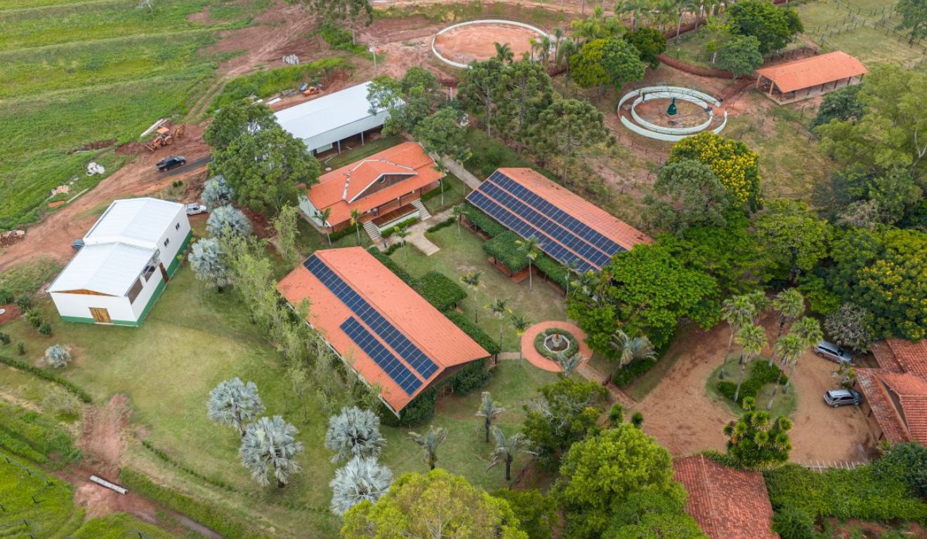 Reprodução de cavalos ganha força com nova central equina do Brasil em SP