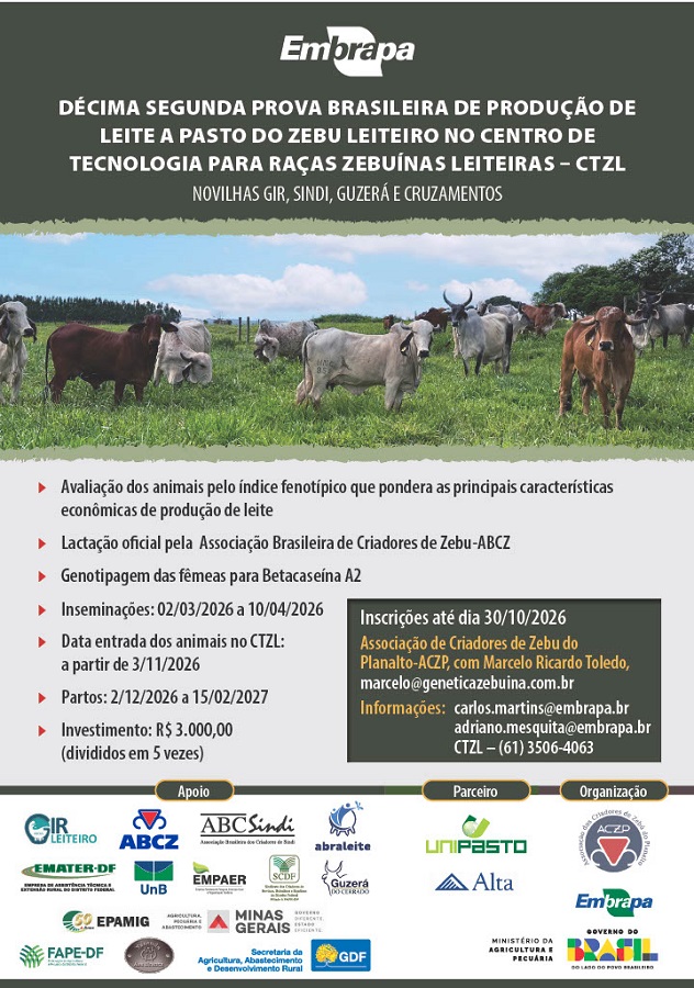 Prova de leite da Embrapa seleciona novilhas zebuínas leiteiras a pasto