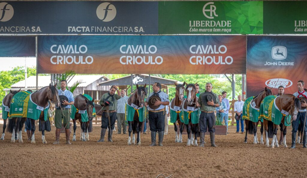 Expo FICCC 2026 abre inscrições; veja como garantir vaga para representar o Brasil