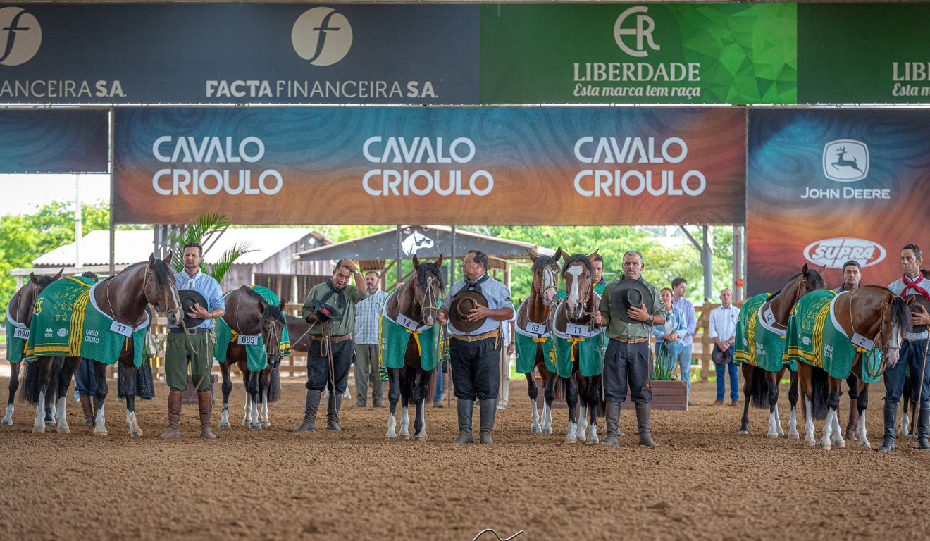 Expo FICCC 2026 abre inscrições; veja como garantir vaga para representar o Brasil