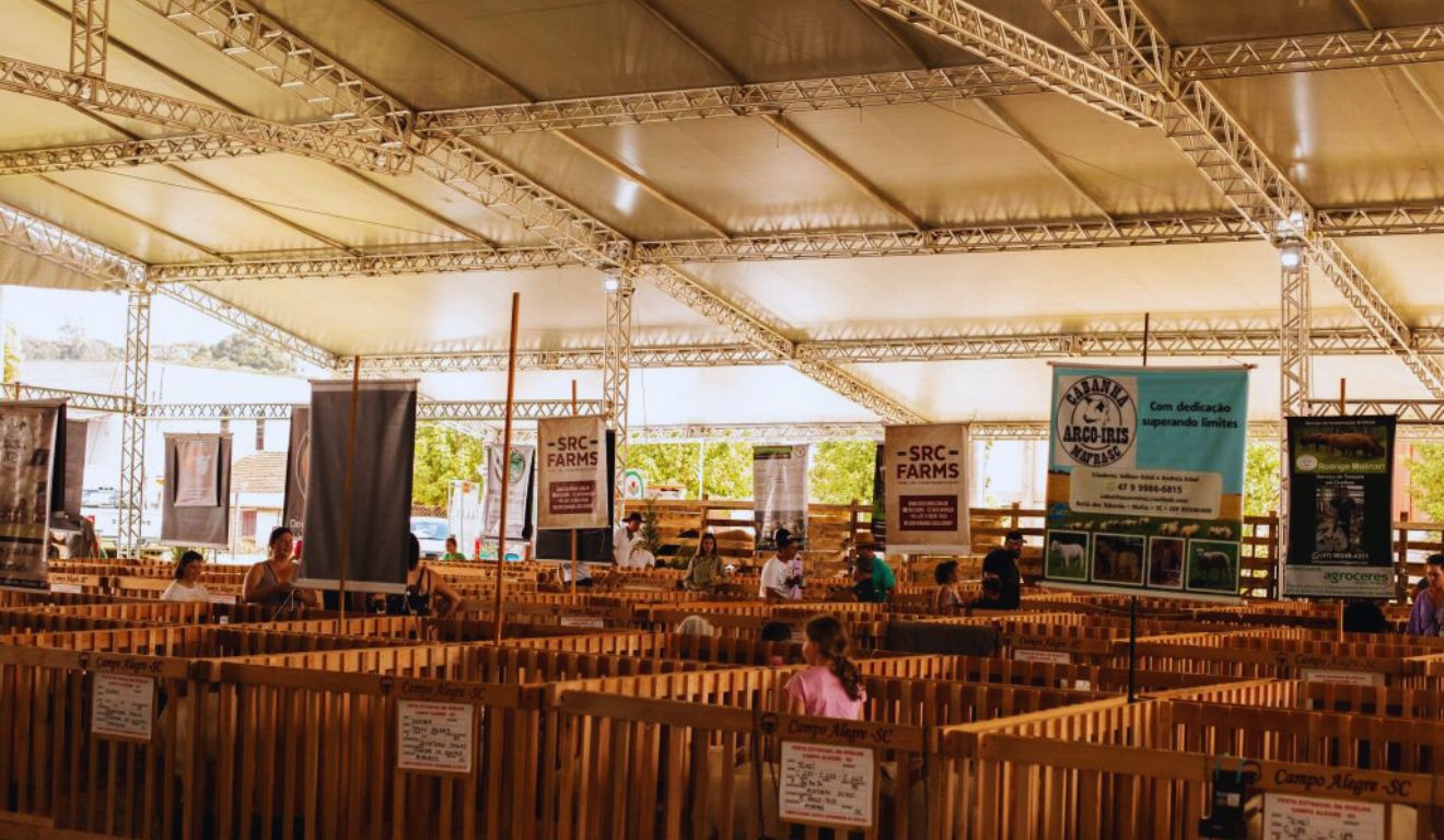 Festa Estadual da Ovelha destaca ovinocultura e negócios no campo em Campo Alegre